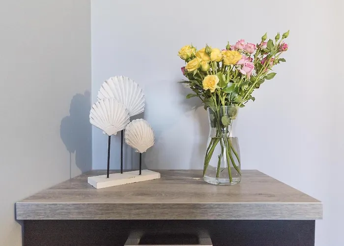 Iga * Władysławowo